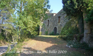 Castell de Falgons