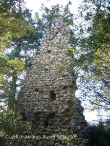 Castell de Molins