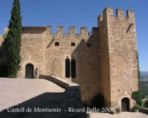 Castell de Montsonís