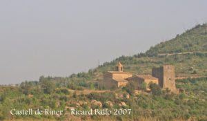 Castell de Riner / Solsonès
