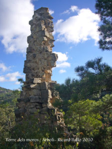 Torre dels moros o del bosc de la perxa