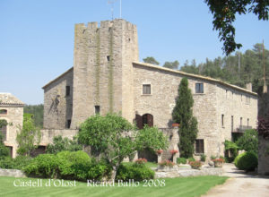 Castell d’Olost
