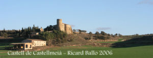 Castell de Castellmeià