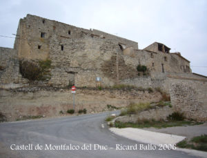 Castell de Montfalcó del Duc