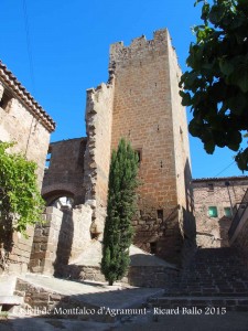 Castell de Montfalcó d’Agramunt – Ossó de Sió / Urgell