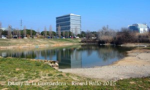 Estany de la Guinardera