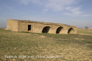 Pletes de Mont-roig – Els Plans de Sió / Segarra
