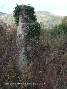 Torre de Ginebret
