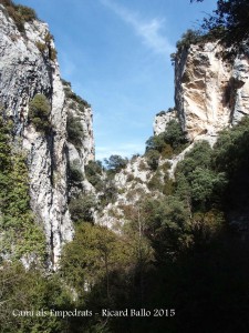 Bullidor de la Llet i Empedrats